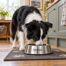 Dog eating from a personalised stainless steel pet bowl