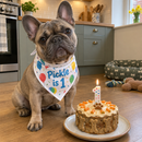 Personalised dog bandana: a French bulldog wearing a personalised birthday dog bandana printed with balloons and the words 'Pickle is 1' sitting beside a dog-friendly birthday cake in a UK kitchen