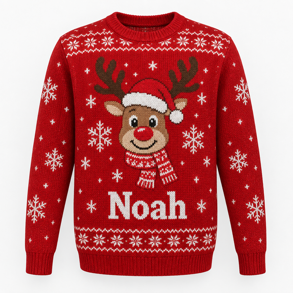 Matching family Christmas jumper with the name Noah on a white background