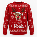 Matching family Christmas jumper with the name Noah on a white background