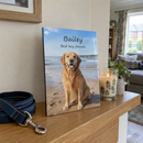 Personalised wooden photo plaque, standing on a shelf in a UK living room next to a dog lead and a candle