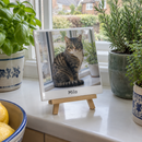 Personalised ceramic photo tile, on a kitchen windowsill with herbs