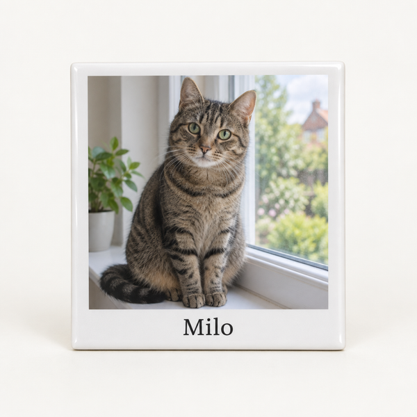 Personalised Ceramic Photo Tile – personalised ceramic photo tile printed with a photo of a tabby cat on a windowsill and