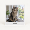 Personalised ceramic photo tile printed with a photo of a tabby cat on a windowsill and the caption Milo, on a plain background
