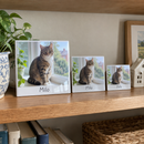 Personalised ceramic photo tile, several tile sizes arranged on a wooden shelf in a UK home