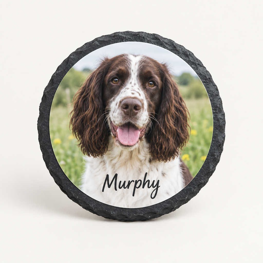 Personalised Slate Photo Coaster – Round 10cm Natural Edge Slate with Name – Personalised slate photo coaster printed with a photo of a springer spaniel and the name Murphy, on a plain background