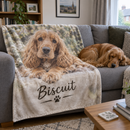 Photo blanket with a spaniel on a sofa