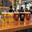 Row of colour logo-printed pint glasses on a taproom bar