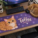 Cartoon ginger cat mat with the real cat curled up by the mouse