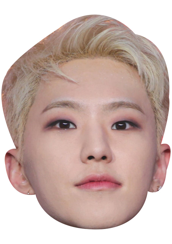 Hoshi Face Mask – Fancy Dress Cardboard Costume Mask