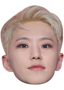Hoshi (SEVENTEEN) Facemask – K-Pop Idol Face Mask – Funny Mask for Stag Do, Hen Night, TV Events, Fancy Dress & Costume Parties, Ready to Wear
