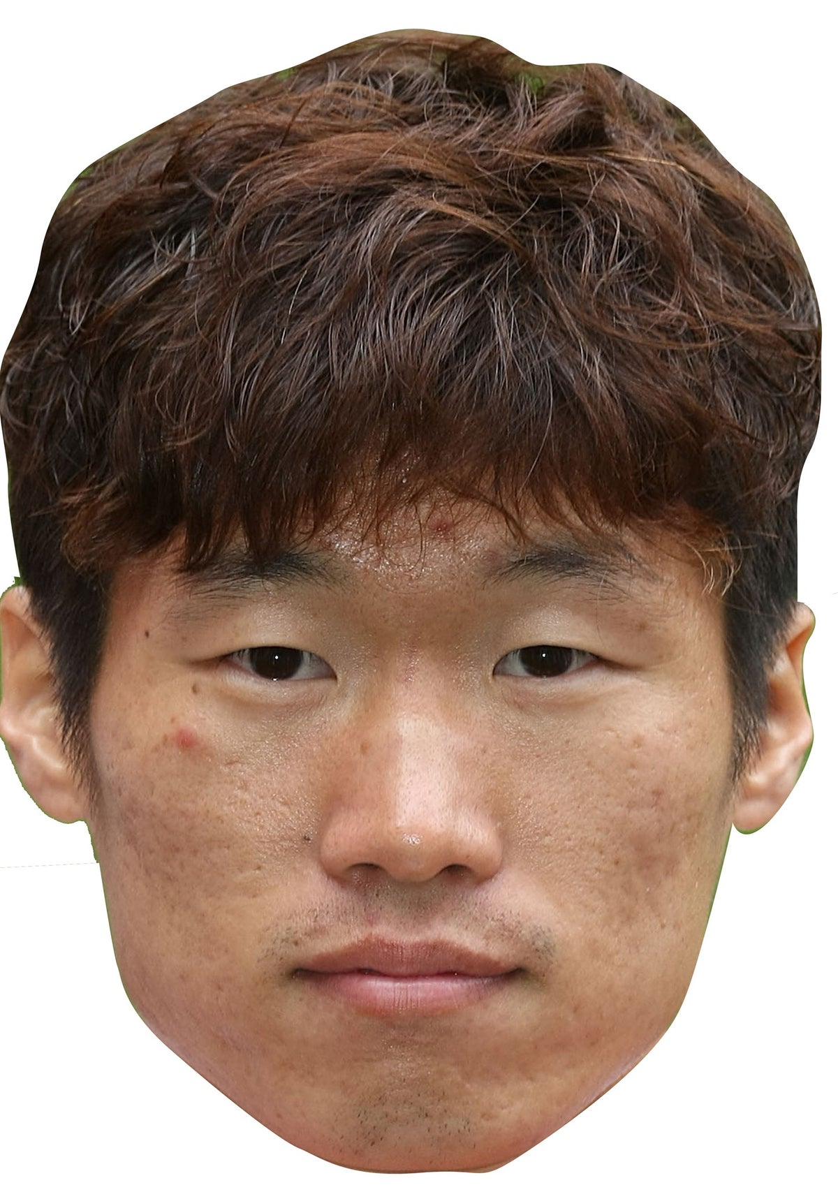 Park Ji-sung Face Mask – Fancy Dress Cardboard Costume Mask – Park Ji-sung face mask