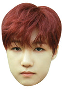 Jongseob (P1Harmony) Celebrity Face Mask – K-Pop Idol Face Mask – Funny Mask for Stag Do, Hen Night, TV Events, Fancy Dress & Costume Parties, Ready to Wear