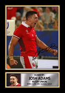 Josh Adams Wales Rugby Poster – Printed Autograph Wall Art – Wales Rugby Union Star Memorabilia Poster for Fans
