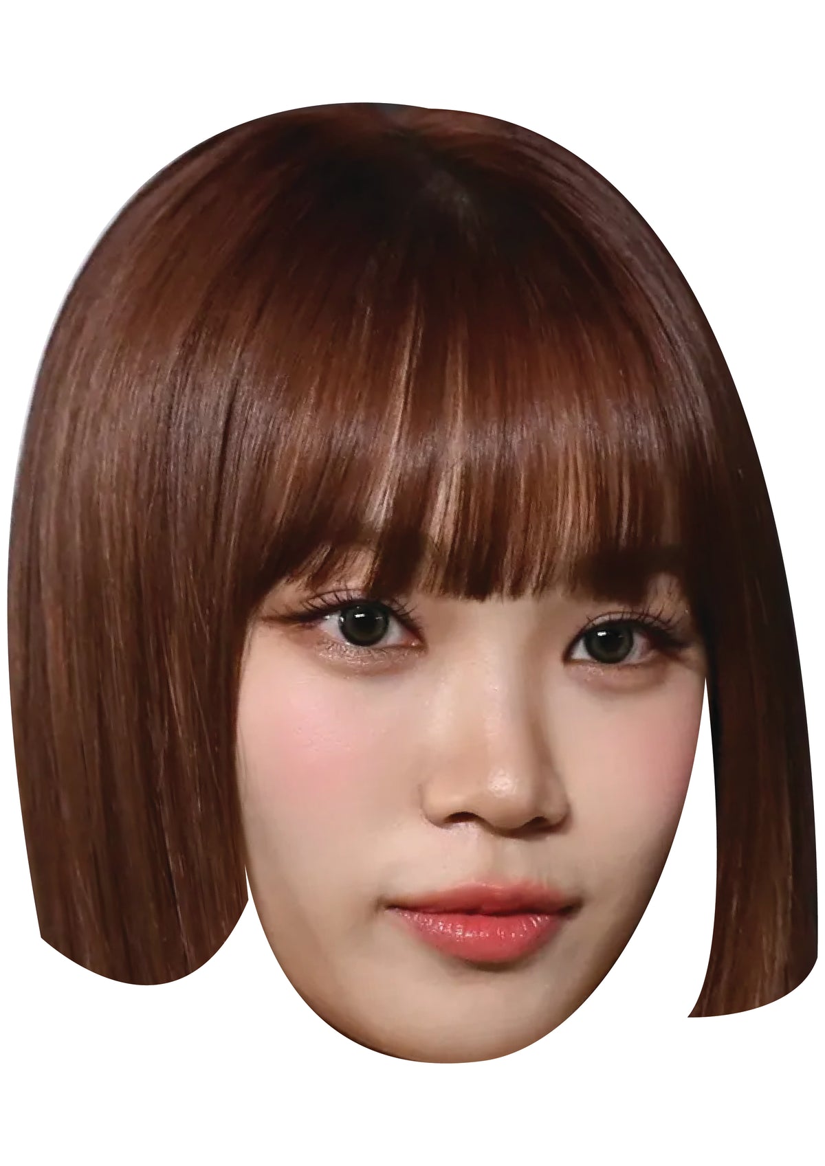Kim Chae-won Face Mask – Fancy Dress Cardboard Costume Mask – Kim Chae-won Face Mask