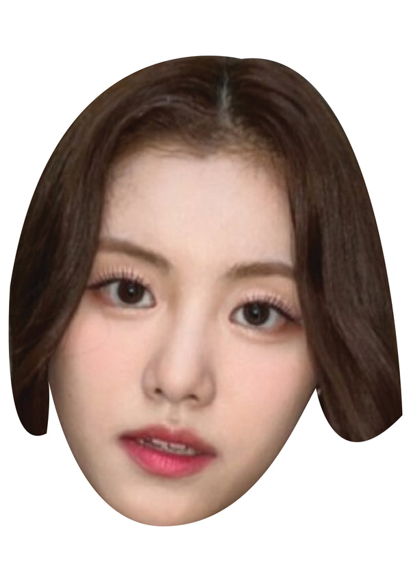 Kim Garam Face Mask – Fancy Dress Cardboard Costume Mask
