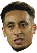 Marcus Tavernier Bournemouth Face Mask – AFC Bournemouth Football Player Celebrity Card Mask – Celebrity Mask for Stag Do, Hen Night, Fancy Dress & Costume Parties – Funny Adult Card Mask