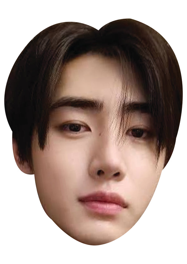 Sunghoon Face Mask – Fancy Dress Cardboard Costume Mask