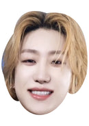 The8 (SEVENTEEN) Celebrity Face Mask – K-Pop Idol Face Mask – Korean Music Star – Funny Mask for Stag Do, Hen Night, Concerts, TV Events, Fancy Dress & Costume Parties, Ready to Wear