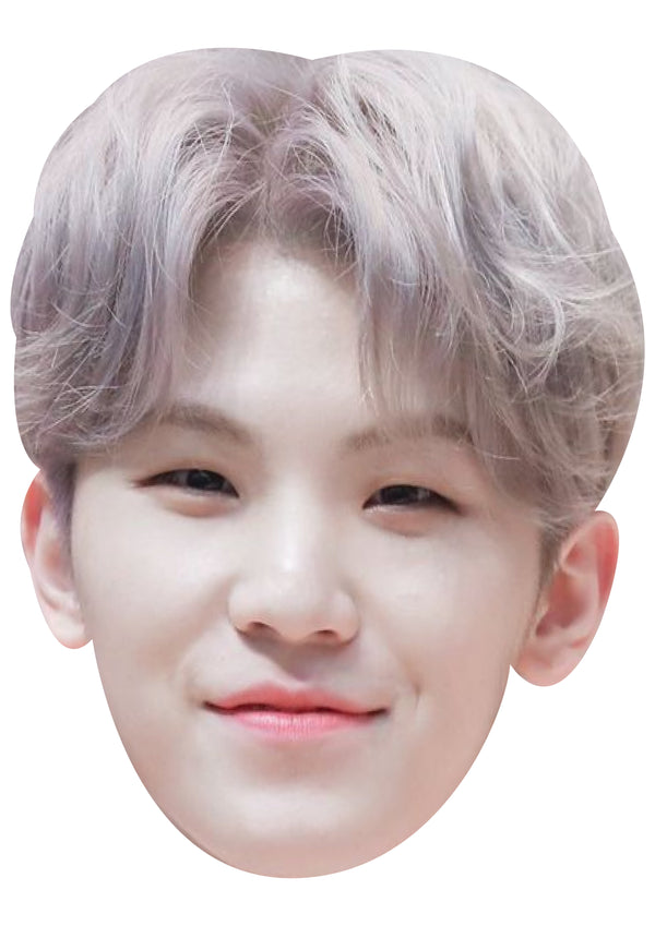Woozi Face Mask – Fancy Dress Cardboard Costume Mask