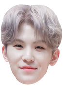 Woozi (SEVENTEEN) Celebrity Face Mask – K-Pop Idol Face Mask – Funny Mask for Stag Do, Hen Night, TV Events, Fancy Dress & Costume Parties, Ready to Wear