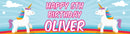 Unicorn Children's Birthday Banner Thin 1