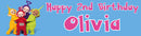 Teletubbies Children's Birthday Banner Thin 1