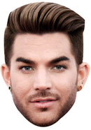 ADAM LAMBERT JB - Music Star Fancy Dress Cardboard Celebrity Party Face Mask