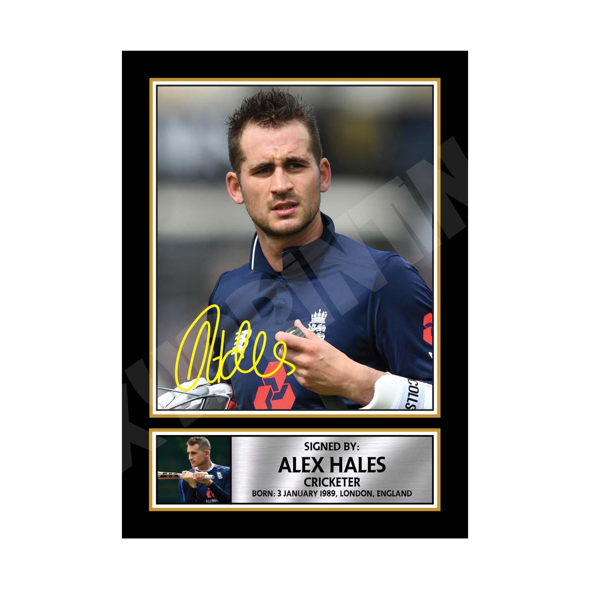ALEX HALES Cricketer Printed Signature Print – Cricket Player – Alex Hales Cricketer Printed Signature Print – A1 Print Only