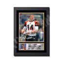 ANDREW DALTON 2 Limited Edition Football Signed Print - American Footballer