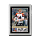 ANDREW DALTON 2 Limited Edition Football Signed Print - American Footballer