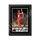 ANDREW MCDONALD Limited Edition Cricketer Signed Print - Cricket Player