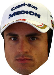 Adrien Sutil FORMULA 1 Celebrity Face Mask Fancy Dress Cardboard Costume Mask