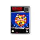 Animaniacs - SNES Inspired Game Retro Gaming Magnet