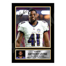 Anthony Levine 1 Limited Edition Football Signed Print - American Footballer