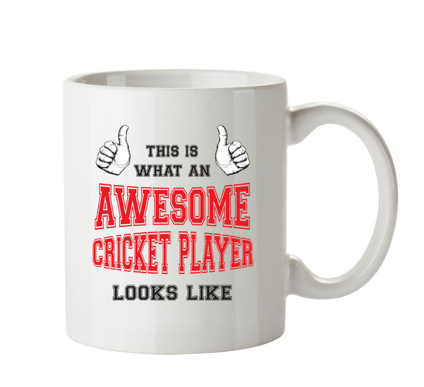 Awesome Cricket Player Office Mug FUNNY – printed mug product image 1