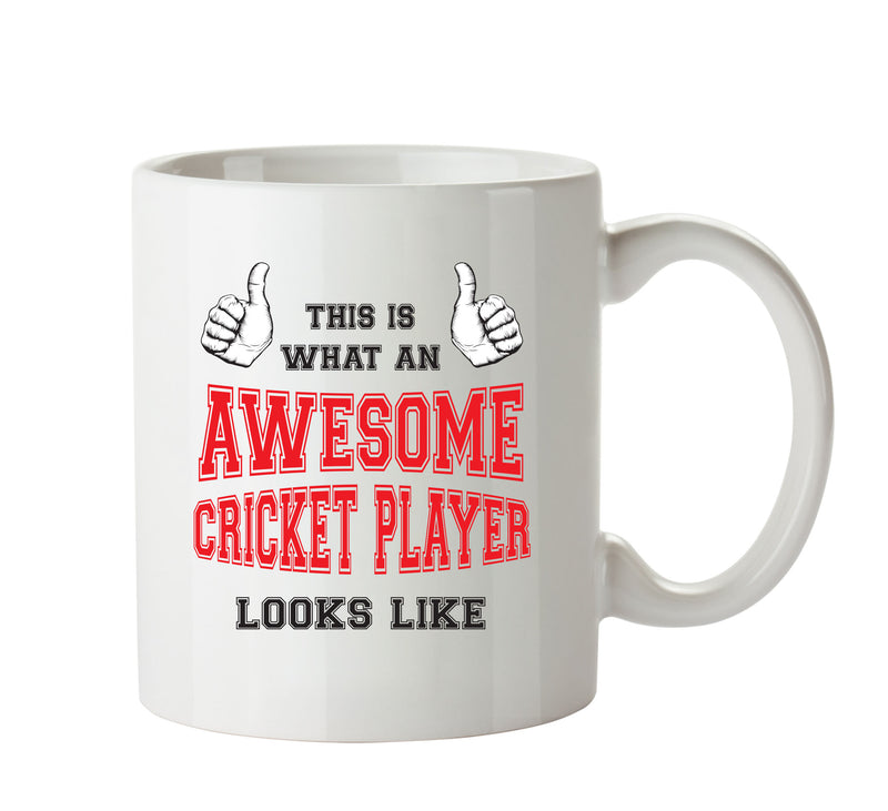 Awesome Cricket Player Office Mug FUNNY