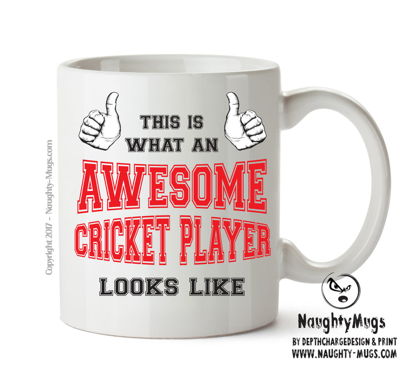 Awesome Cricket Player Office Mug FUNNY