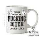 Awesome Fucking Bitch Office Mug FUNNY