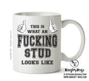 Awesome Fucking Stud Office Mug FUNNY