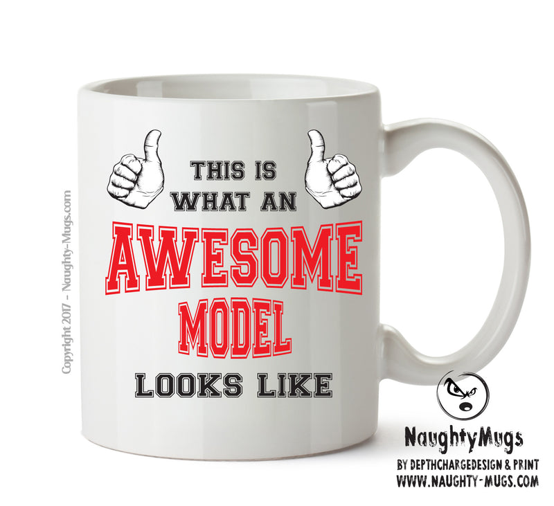 Awesome Model Office Mug FUNNY
