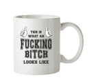 Awesome Fucking Bitch Office Mug FUNNY