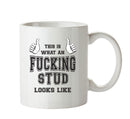 Awesome Fucking Stud Office Mug FUNNY