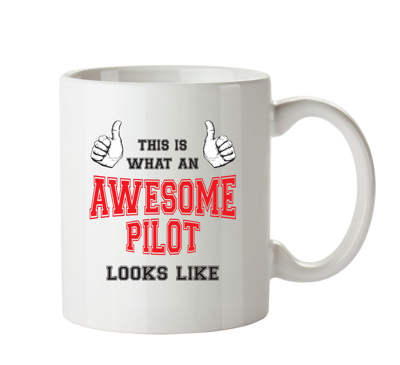 Awesome Pilot Office Mug FUNNY