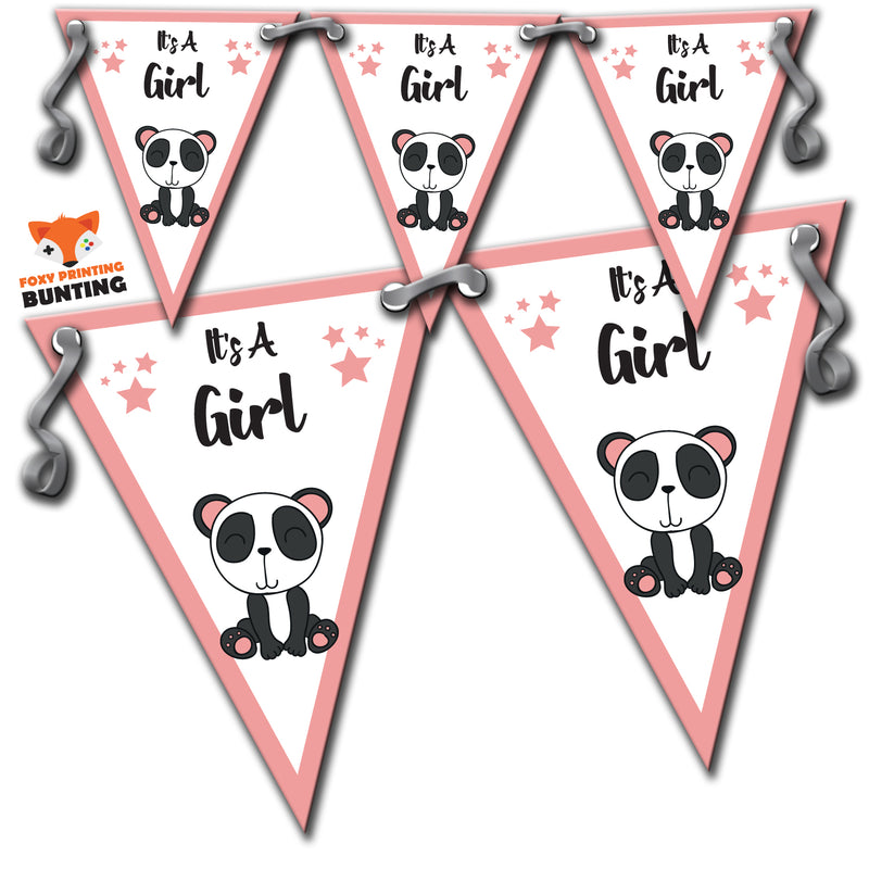B12 Anna Bunting Its A Girl Personalised Bunting Premium Party Decorations  (Standard Bunting (14.8cm X 21cm))