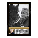 BRENDAN POWELL 2 Limited Edition Horse Racer Signed Print - Horse Racing