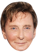 BARRY MANILOW JB - Music Star Fancy Dress Cardboard Celebrity Party Face Mask
