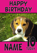 Beagle Puppy1 DOGS AND Funny Puppy Kids Adult Personalised Birthday Card Kirsten
