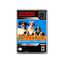 Beethoven - SNES Inspired Game Retro Gaming Magnet