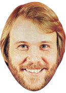 BENNY ANDERSSON JB - Music Star Fancy Dress Cardboard Celebrity Party Face Mask